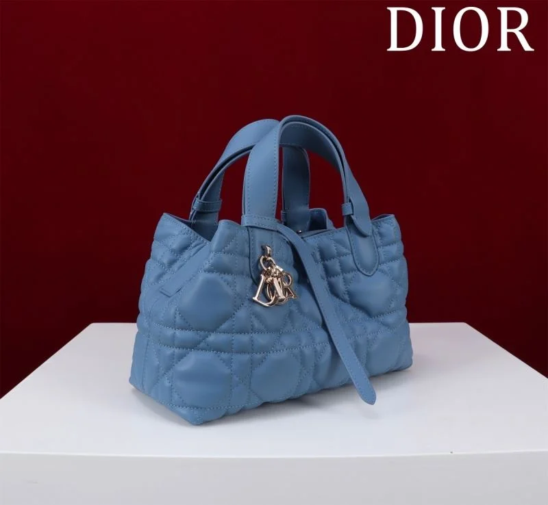 StreetReady Christian Dior Shopping Bags 47013