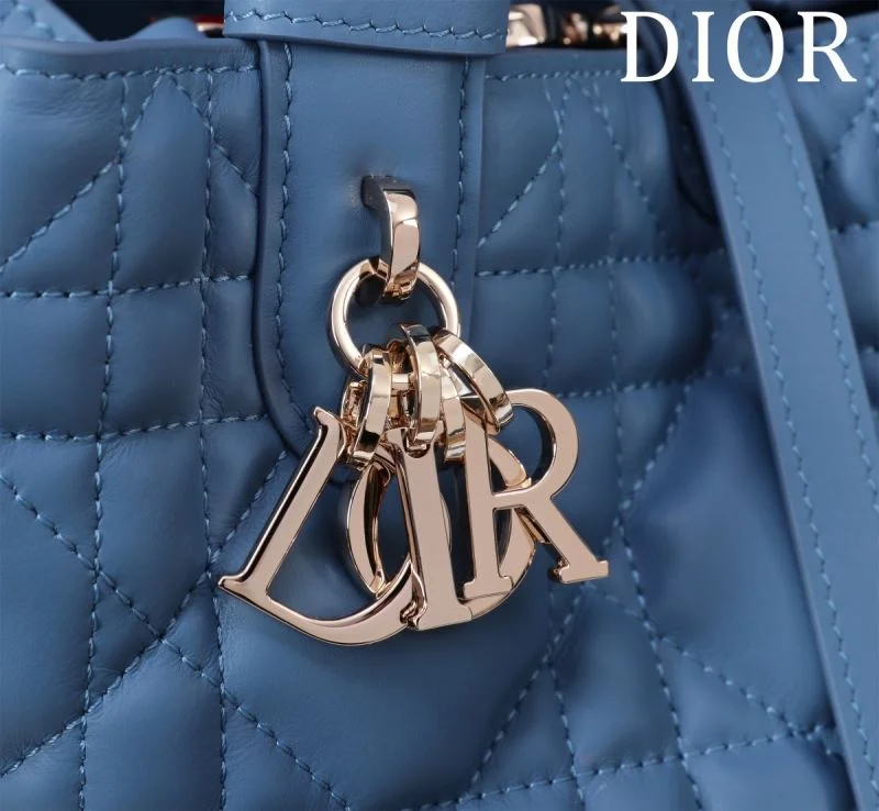 StreetReady Christian Dior Shopping Bags 47013