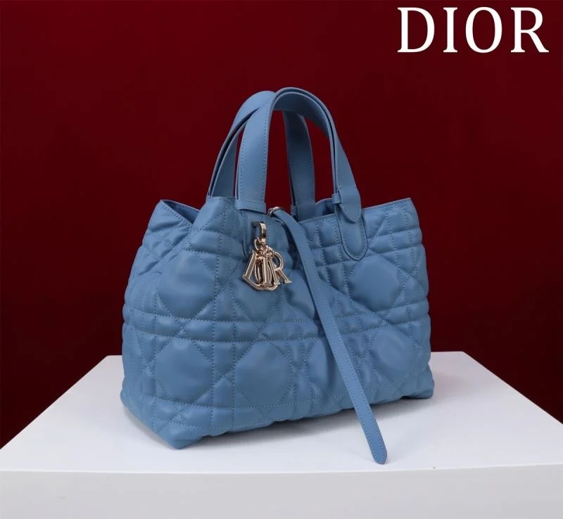Christian Dior Shopping Bags WellDesigned 47015