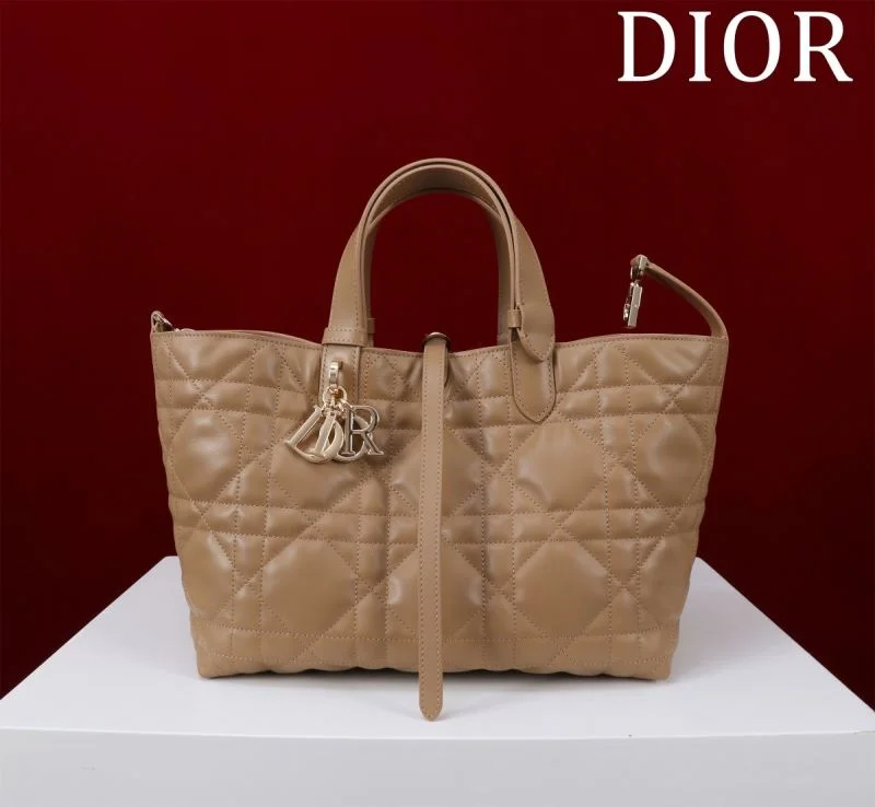 Christian Dior Shopping Bags GoAnywhere 47012