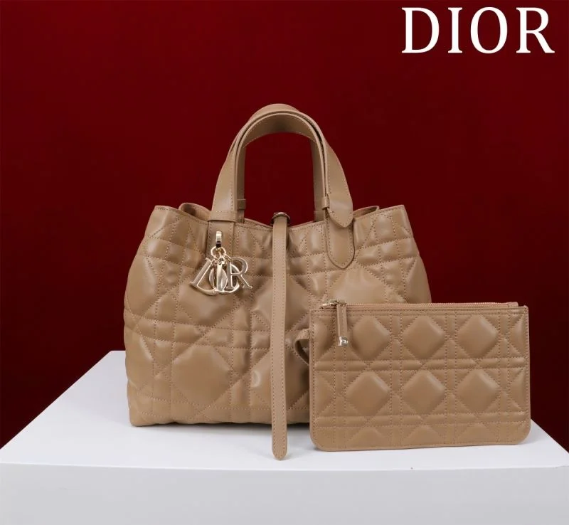 Christian Dior Shopping Bags GoAnywhere 47012
