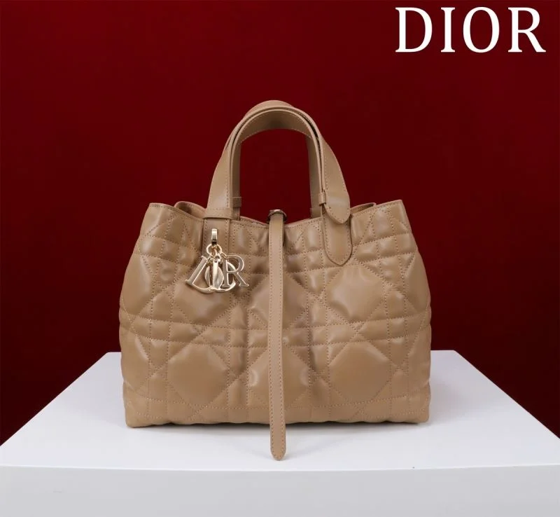 Christian Dior Shopping Bags GoAnywhere 47012