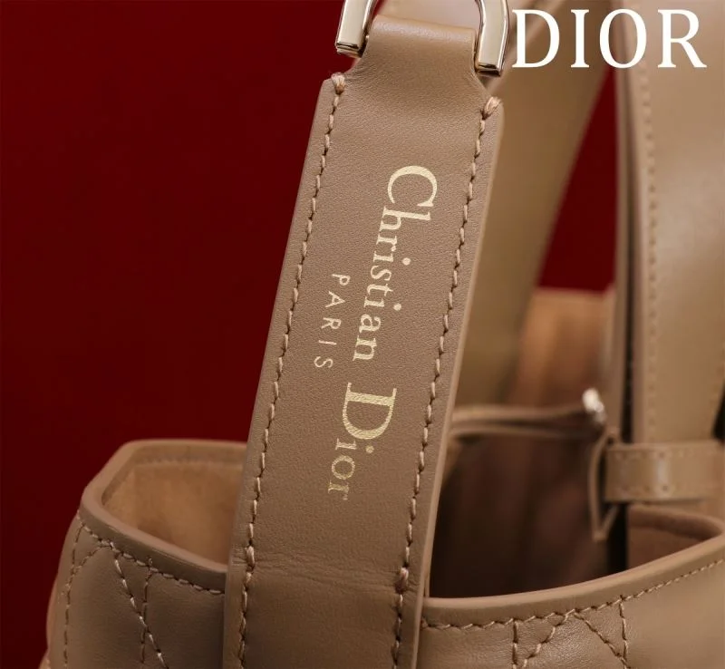Christian Dior Shopping Bags GoAnywhere 47012