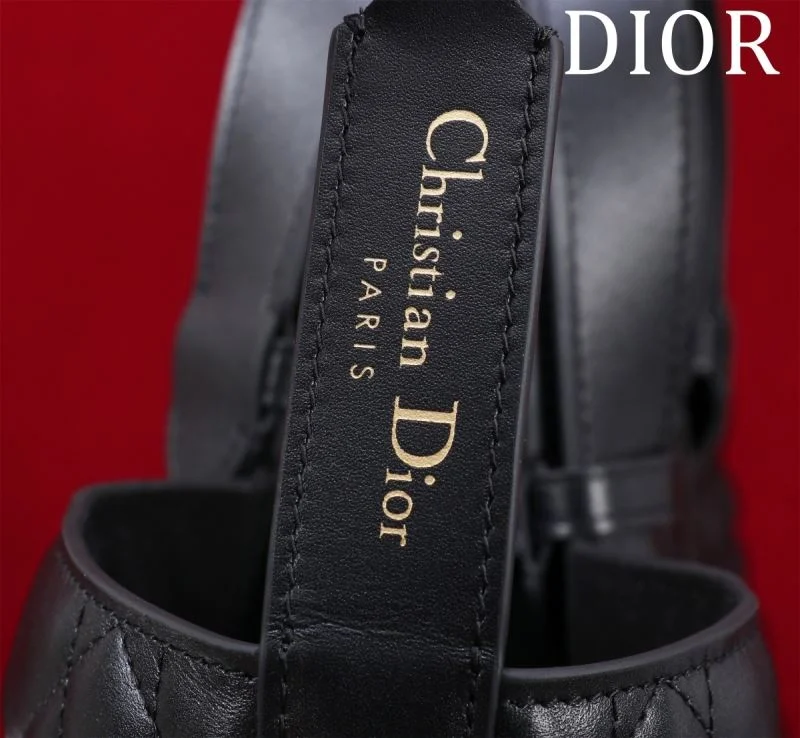 Seasonal Christian Dior Shopping Bags 47004