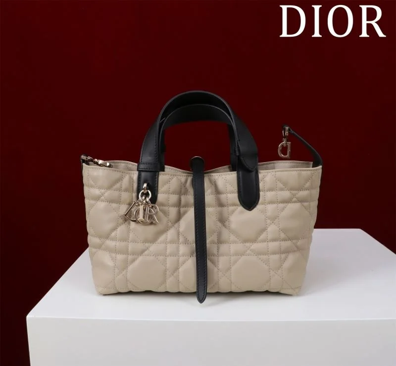 Christian Dior Shopping Bags GoAnywhere 47003