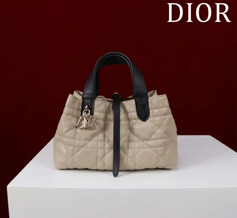 Christian Dior Shopping Bags GoAnywhere 47003