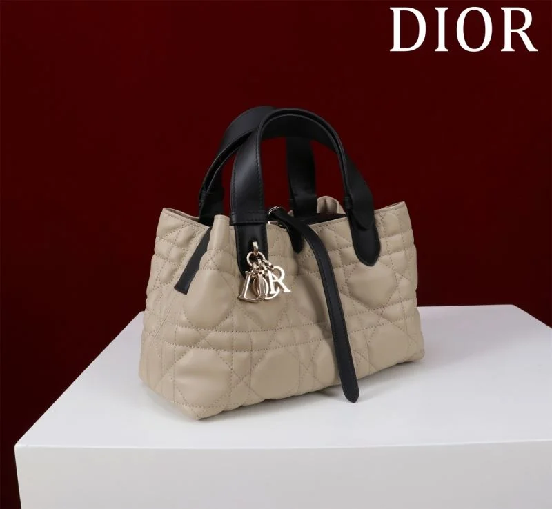 Christian Dior Shopping Bags GoAnywhere 47003