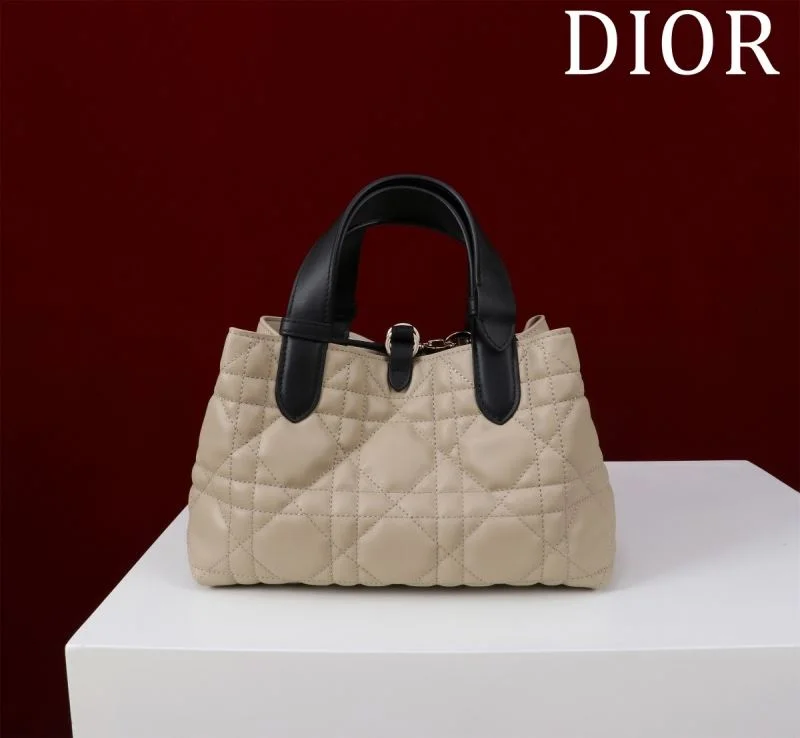Christian Dior Shopping Bags GoAnywhere 47003