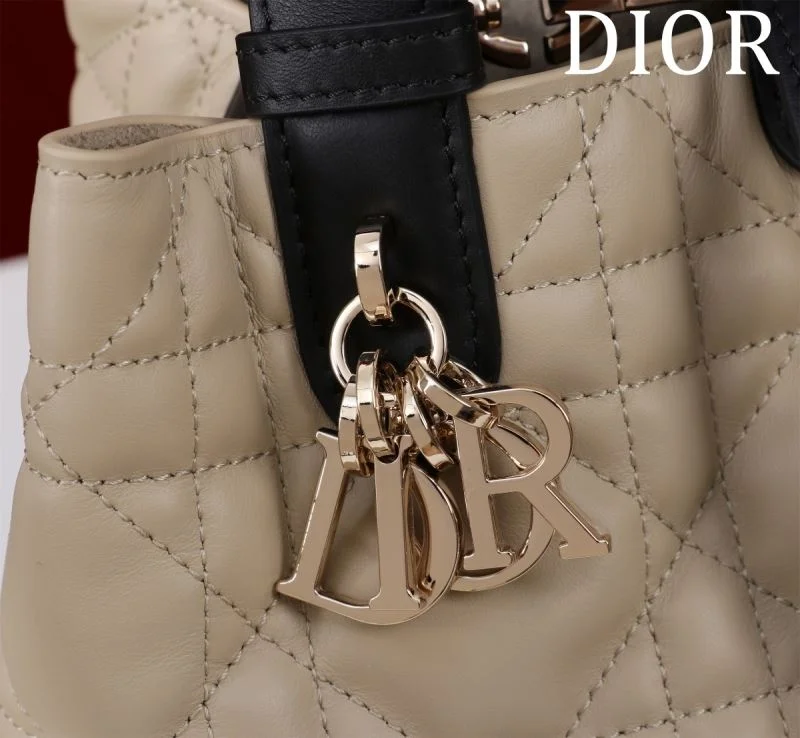 Christian Dior Shopping Bags GoAnywhere 47003