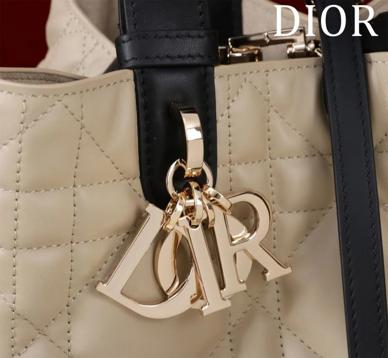 Christian Dior Shopping Bags FastDry 47010