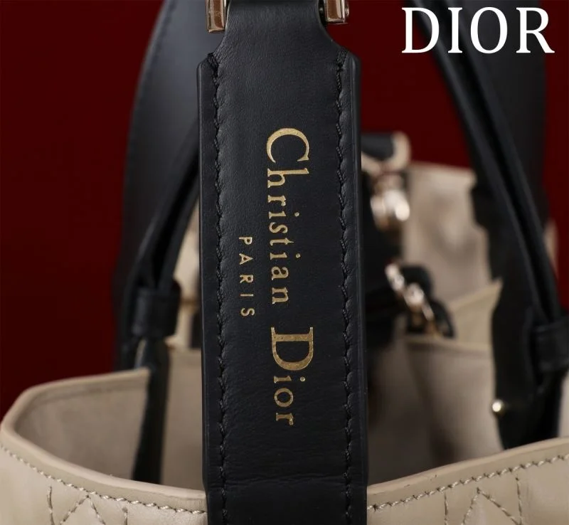 Christian Dior Shopping Bags FastDry 47010