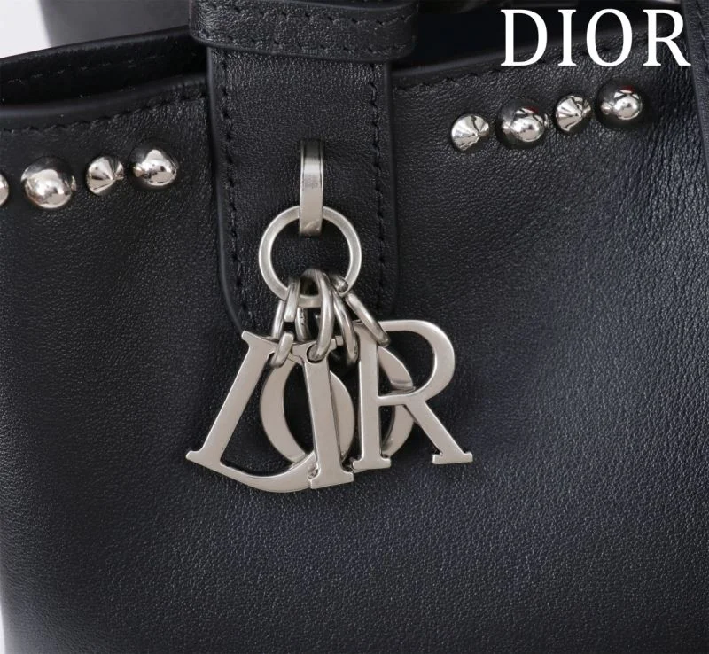 Youthful Christian Dior Shopping Bags 46997