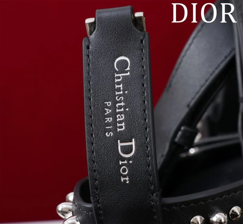 Youthful Christian Dior Shopping Bags 46997