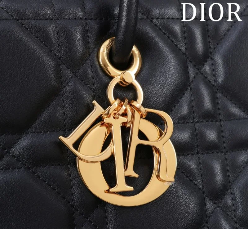 Christian Dior Shopping Bags WeatherProof 46996