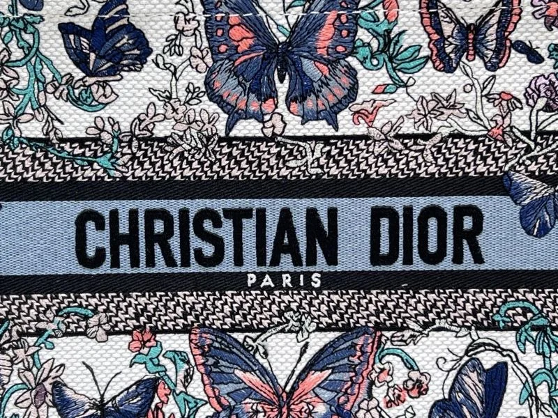 Christian Dior Shopping Bags Affordable 46994