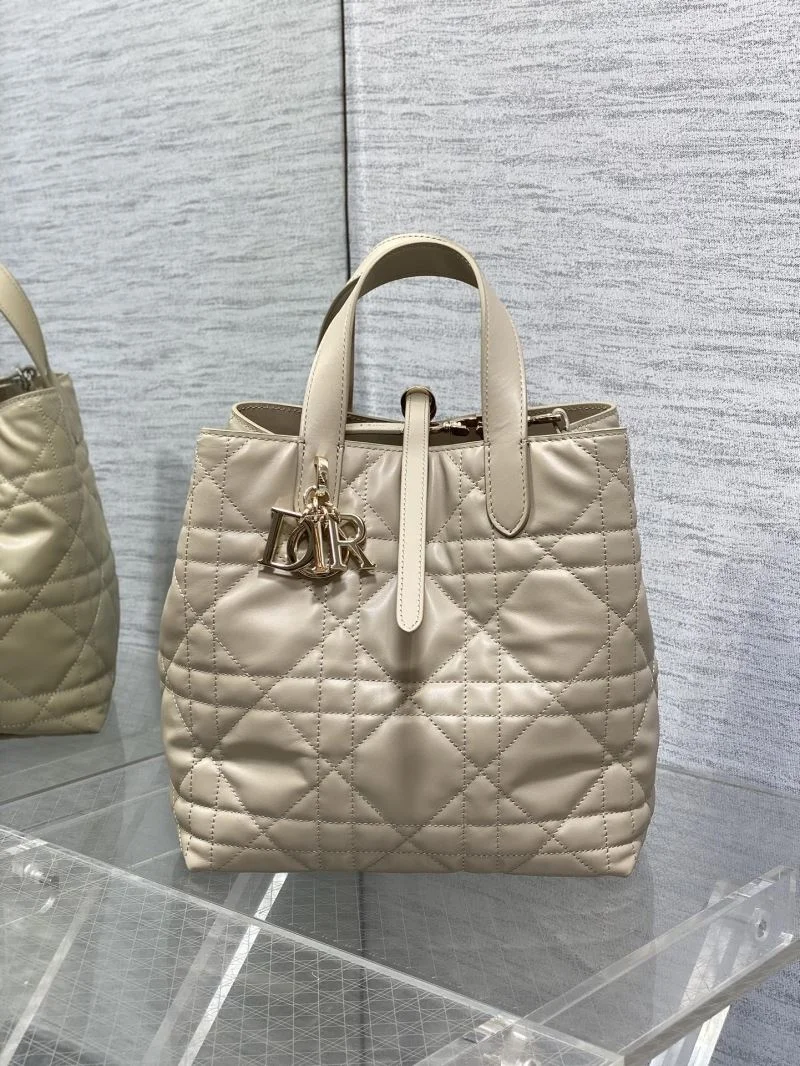 Attractive Christian Dior Shopping Bags 46984