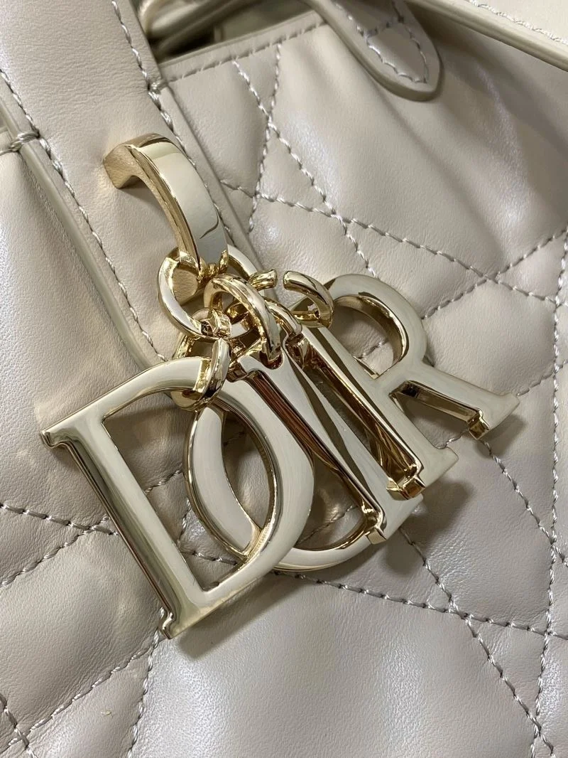 Attractive Christian Dior Shopping Bags 46984