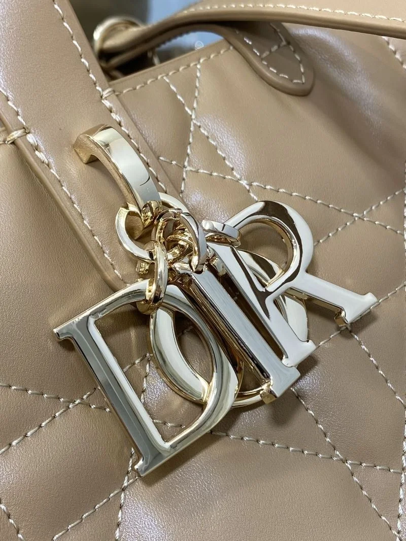 Bold Christian Dior Shopping Bags 46974