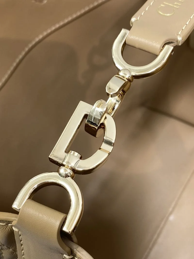 Bold Christian Dior Shopping Bags 46974