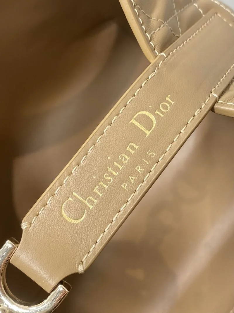Bold Christian Dior Shopping Bags 46974