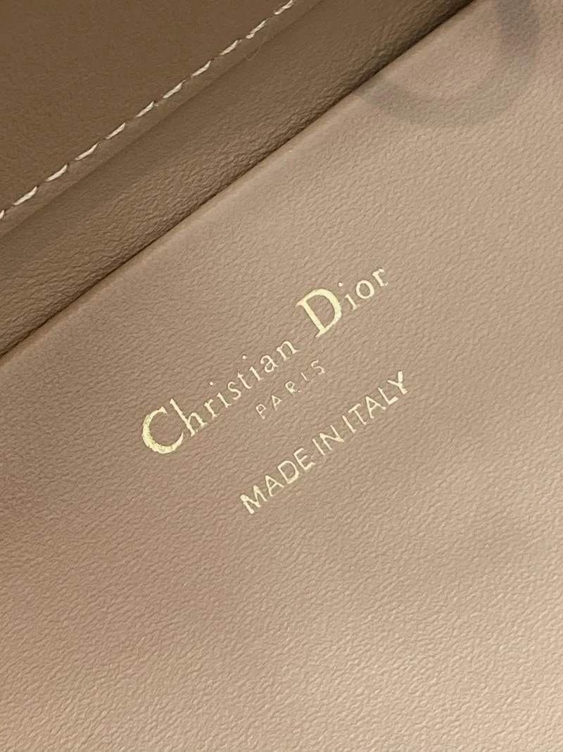 Bold Christian Dior Shopping Bags 46974