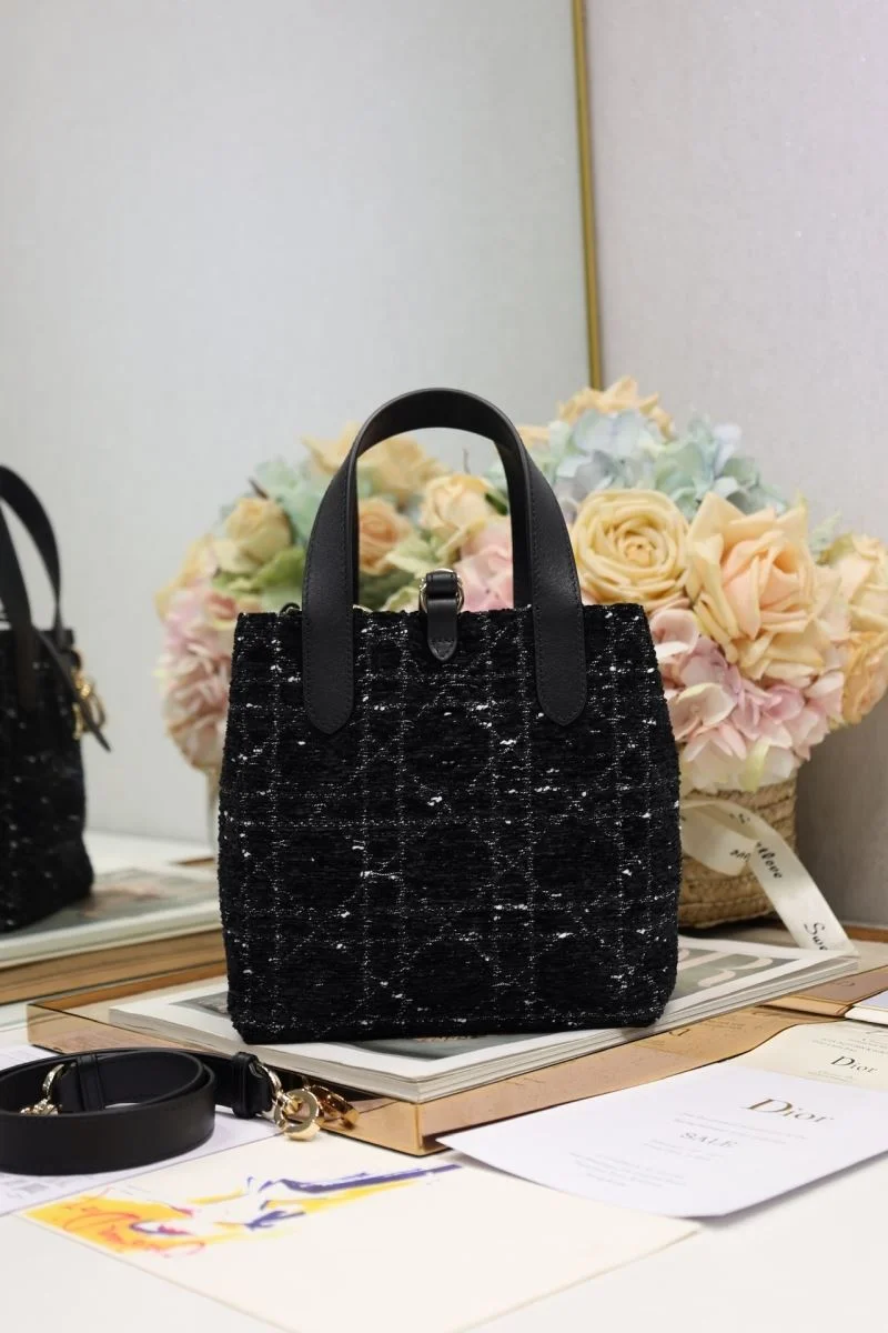 Sleek Christian Dior Shopping Bags 46981