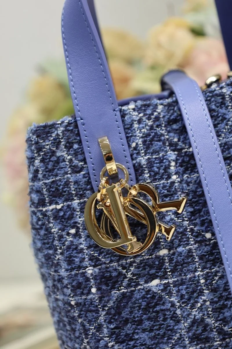 Comfortable Christian Dior Shopping Bags 46971