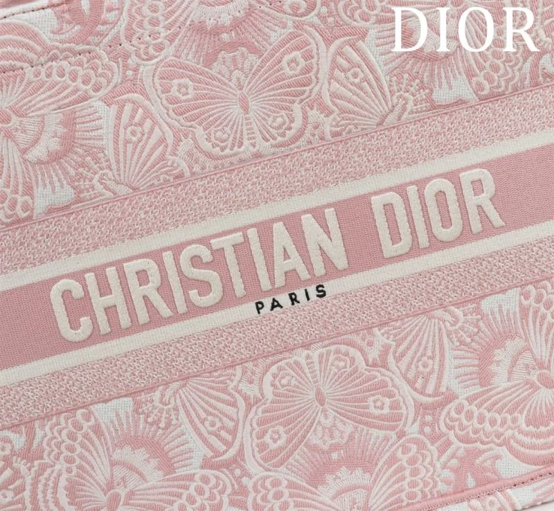 Christian Dior Shopping Bags Fashionable 46969