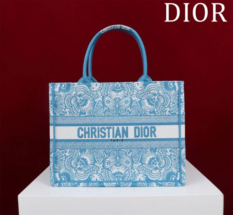Minimalist Christian Dior Shopping Bags 46961