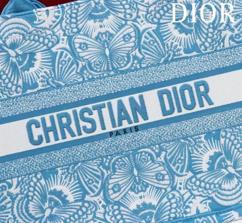 Minimalist Christian Dior Shopping Bags 46961