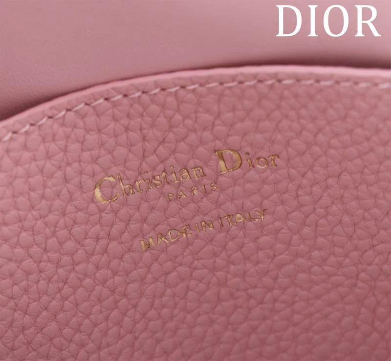 UrbanChic Christian Dior Shopping Bags 46975