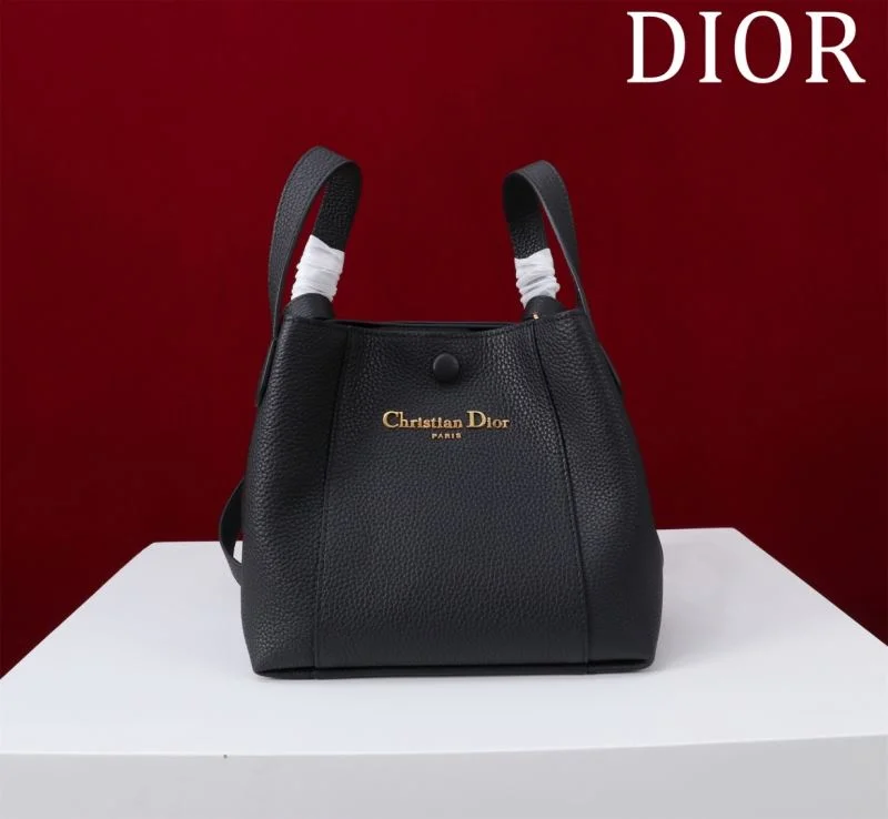 Sophisticated Christian Dior Shopping Bags 46953