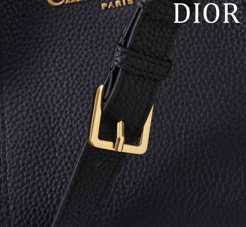 Sophisticated Christian Dior Shopping Bags 46953