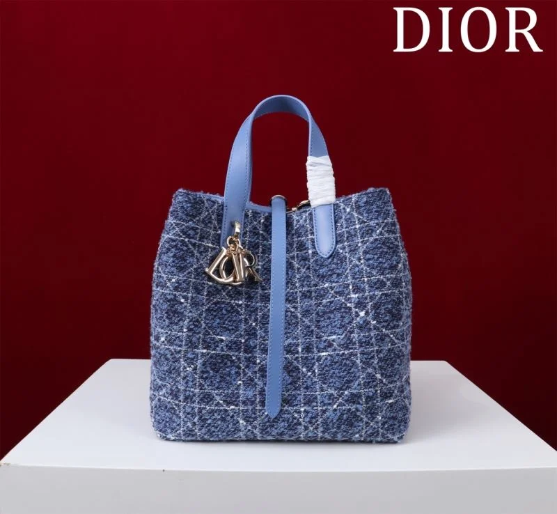 Lightweight Christian Dior Shopping Bags 46946