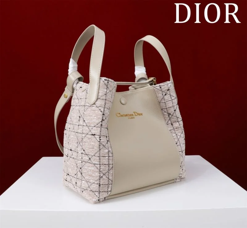 Efficient Christian Dior Shopping Bags 46936