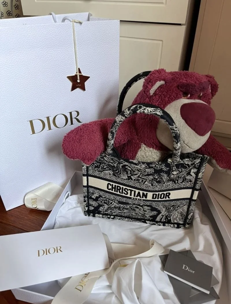 WrinkleFree Christian Dior Shopping Bags 46928