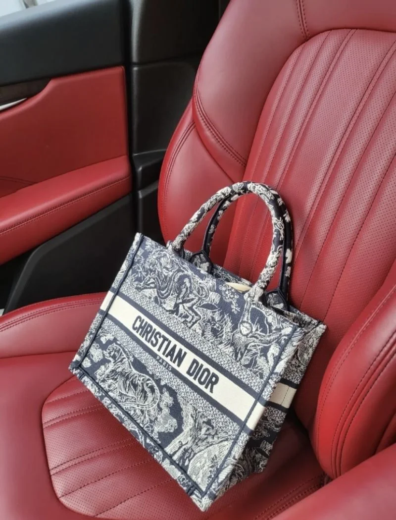 WrinkleFree Christian Dior Shopping Bags 46928