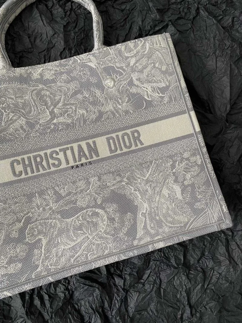 ZeroBulk Christian Dior Shopping Bags 46926