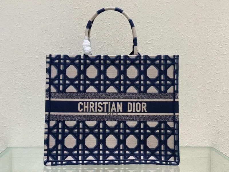 Packable Christian Dior Shopping Bags 46918