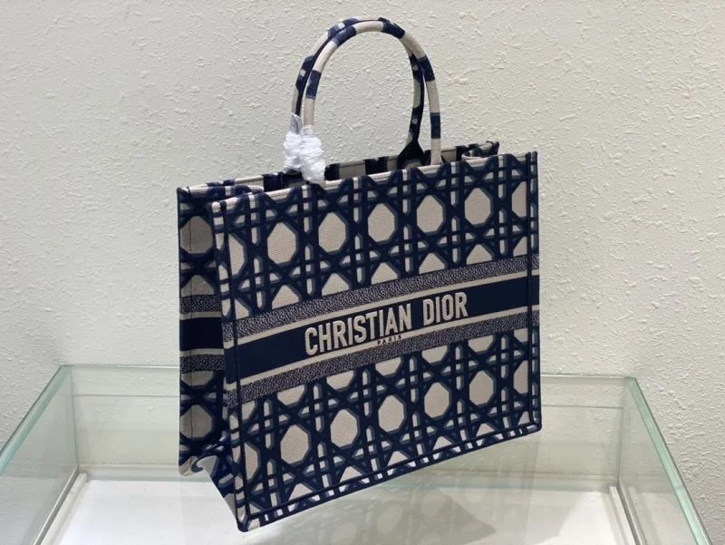 Packable Christian Dior Shopping Bags 46918