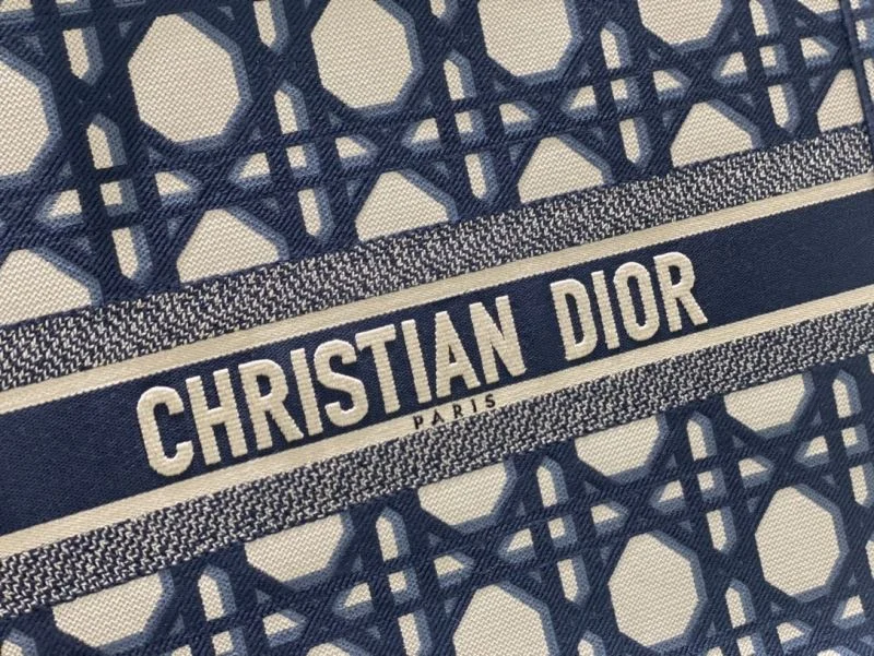 Packable Christian Dior Shopping Bags 46918