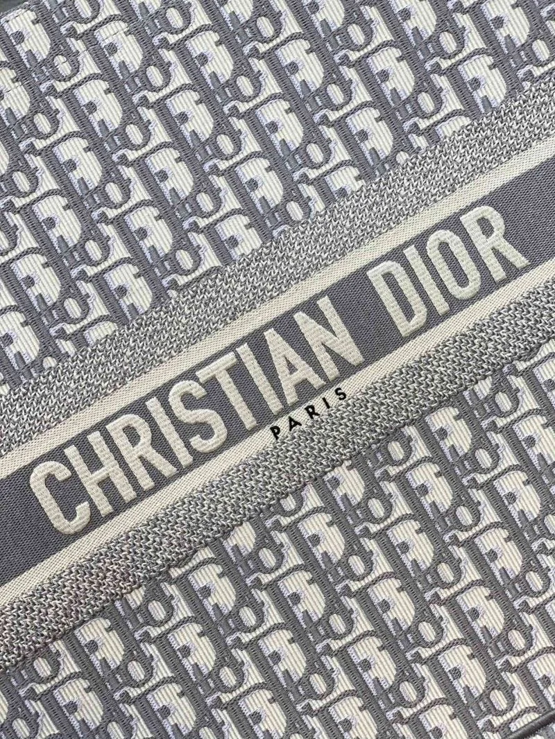 Contemporary Christian Dior Shopping Bags 46899