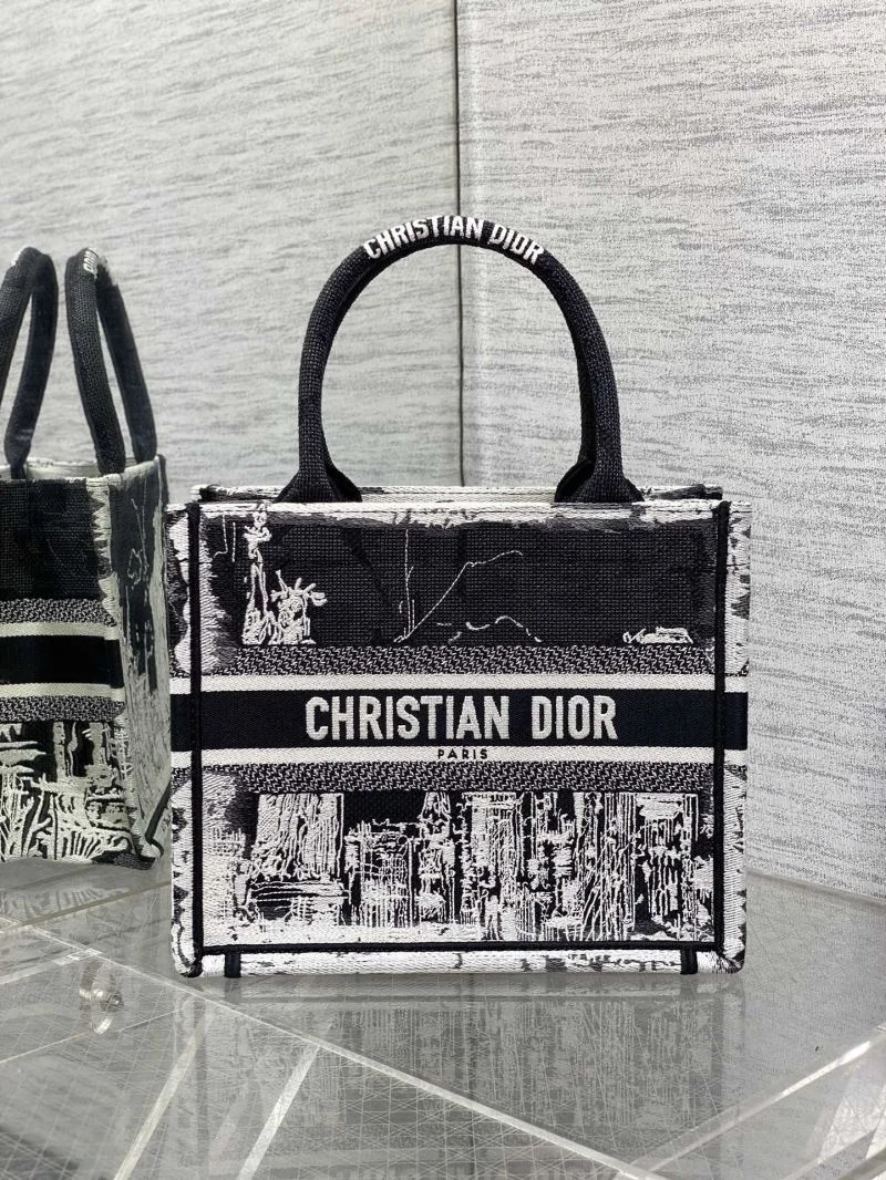 Contemporary Christian Dior Shopping Bags 46885