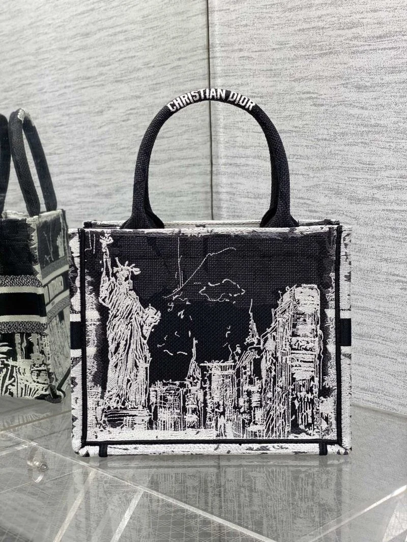 Contemporary Christian Dior Shopping Bags 46885