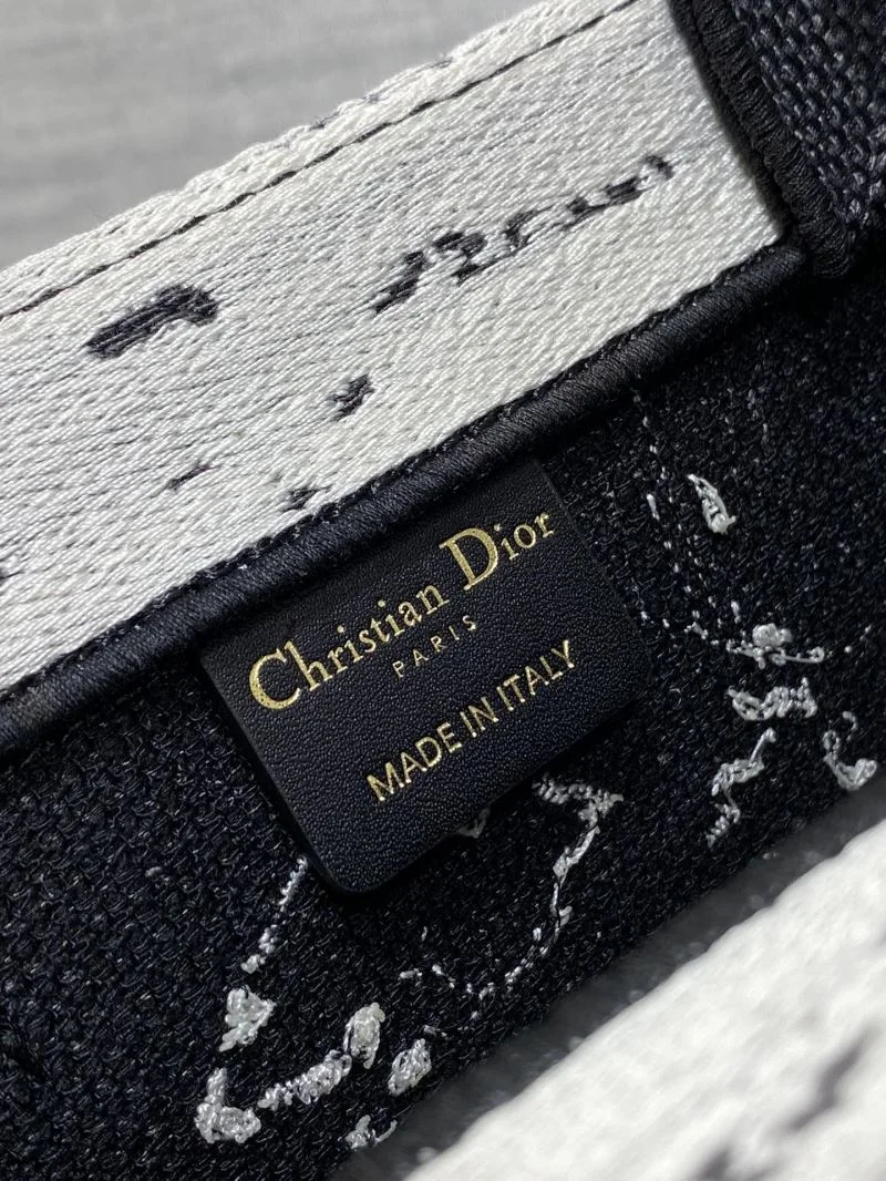 Contemporary Christian Dior Shopping Bags 46885