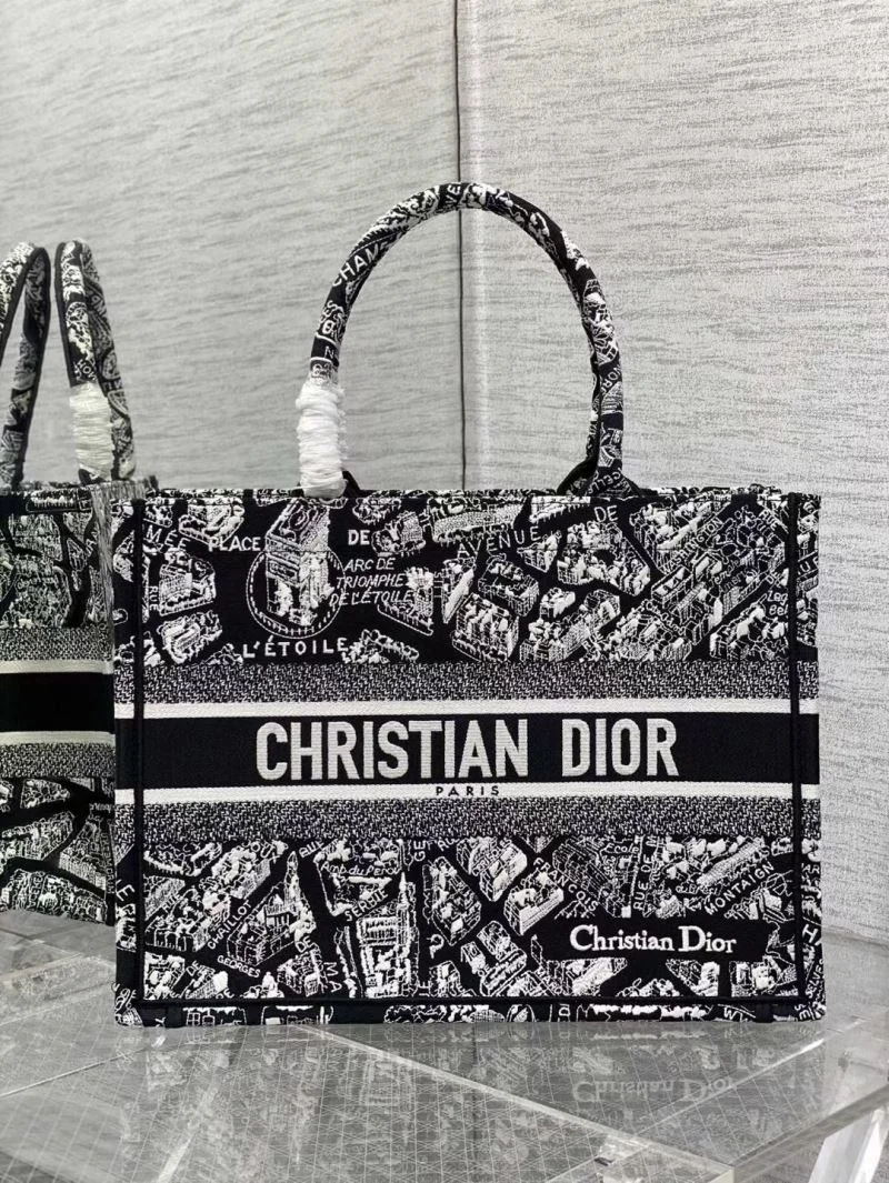 Vibrant Christian Dior Shopping Bags 46882