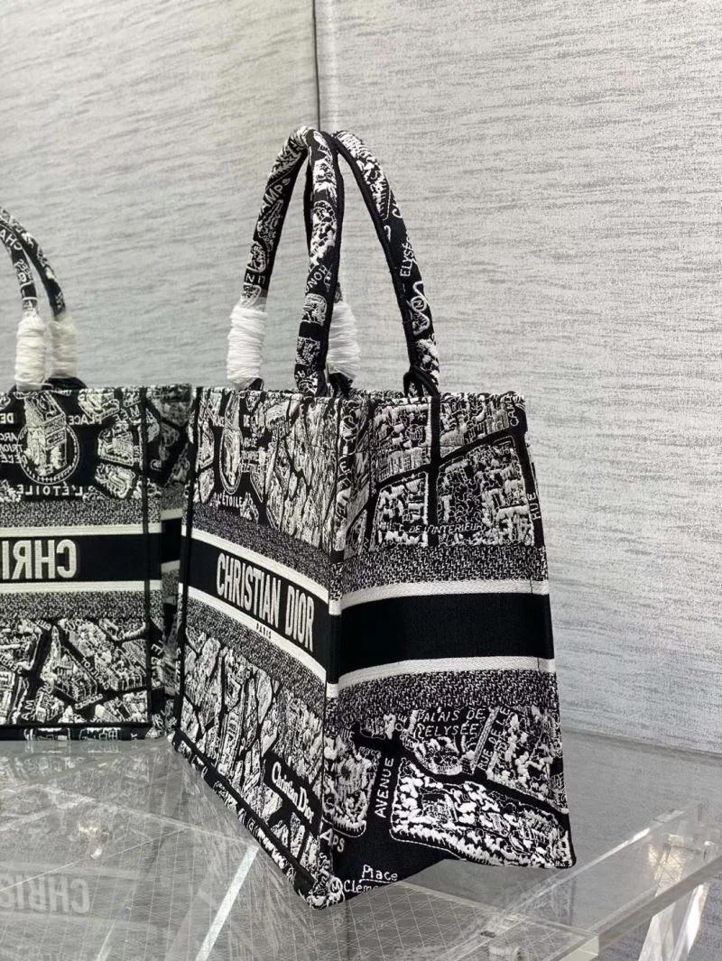 Vibrant Christian Dior Shopping Bags 46882