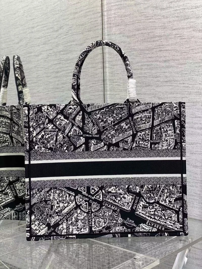 Minimalist Christian Dior Shopping Bags 46877