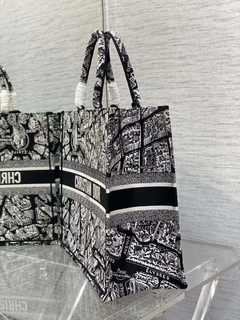 Minimalist Christian Dior Shopping Bags 46877