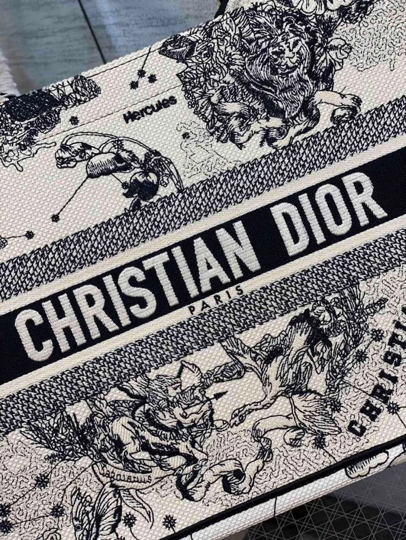 Durable Christian Dior Shopping Bags 46930